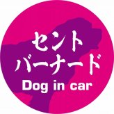 Dog in car ドッグインカー ステッカー カーステッカー セントバーナード 毛筆書体 ピンクパープル シール 煽り運転対策 カーサイン