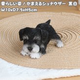 犬の置物 woobia ウービア かまえるシュナウザー 黒白 小 子犬 10cm 手のひらサイズ リアル動物オーナメント イギリス職人手彩色 玄関 デスク インテリア 縁起物 誕生日 お礼 退職祝い 新築祝い お祝い ギフト プレゼント かわいい