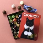CACAOCAT カカオキャット ミックス缶 14個入り RED NR-03857 ボンボンショコラプレミアムチョコレート/アソート/ギフト プレゼント/北海道/クリスマス/バレンタイン/かわいい猫チョコ/ねこ/DADACA/