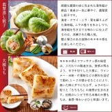 【冷凍】満足点心セット 9種40個 ギフトセット 詰め合わせ 上海料理 状元樓 じょうげんろう 人気 おすすめ 横浜中華街 中華 点心 飲茶 惣菜 お取り寄せグルメ ギフト プレゼント 食品 食べ物 横浜 中華街 老舗 名店 中華セット お取り寄せ 点心セット