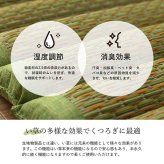 い草 マット クッション ポコポコ くつろぎ お昼寝 約70×150cm
