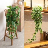 【120cm】光触媒人工観葉植物 アイビーガーランド 幅22cm×高さ120cm ポリエステル お部屋に気軽に飾れて空間を美しく彩るフェイクグリーン 本物の植物のようなリアルな質感とインテリアに馴染む風合いが魅力です