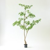 観葉植物 造花 イロハモミジ BROWN 全高約230cm 大型 フェイクグリーン 高級 本物そっくり リアル おしゃれ 和風 和モダン インテリア 人工観葉植物 アーティフィシャルグリーン オフィス 店舗 ホテル 旅館 開店祝い 室内 リビング 玄関 風水 もみじ 紅葉 カエデ