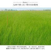 キッチンマット い草 自然素材 国産 純国産 日本製 汚れにくい シミになりにくい ウレタン カジュアル フルーツ 約60×180cm