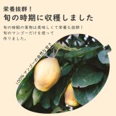 【砂糖不使用】小動物用フリーズドライマンゴー 20g 40g 60g 1袋あたり約35枚入り スライス ウサギ ハムスター モルモット インコ リス チンチラ ハリネズミ モモンガ おやつ 人も食べれる 完全無添加 砂糖ゼロ フルーツ 乾燥 果物 ペット 動物 中国産 送料無料