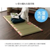 日本製 い草 い草マット  マット  ごろ寝マット  フリーマット  クッション性 和風柄   約70×180cm