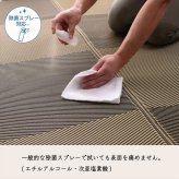 ラグ カーペット 洗える ござ 日本製 国産 丈夫 除菌スプレー対応 敷詰 敷物 ナチュラルスタイル アウトドア レジャー ペット 江戸間4.5畳（約261×261cm）