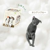 【5種類セット】 ガチャ ガチャガチャ コンプリート 中身 フィギュア おもちゃ かわいい [ いっしょにねんね にゃんこ ] 猫 ネコ ロシアンブルー マンチカン スコティッシュ エキゾチック ノルウェージャン