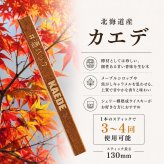 カエデミニボトル 北海道産銘木 カエデミニスティック入り 甘い香り 熟成体験 ウイスキー好き お酒好き 男性 プレゼント 父の日 誕生日 酒器・バー・ワイングッズ