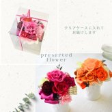 プリザーブドフラワーアレンジメント 【Paint Brush】　 鮮やかな色のプリザーブドフラワー。 7色よりお選びください。プリザーブドフラワー 誕生日 花 プレゼント お礼 お祝い 本物 グリーン 和 ギフト メッセージ 送料無料 お礼 プリザーブド プレゼント おしゃれ リビング インテリア 枯れない花 土日発送 母の日 敬老の日 お中元 お歳暮
