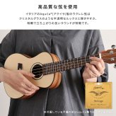 初心者でも始めやすい ウクレレ 13点セット 23インチ(コンサート)
