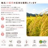グルテンフリー ヴィーガン玄米スティックパン 10本入り