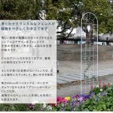 ガーデン エクステリア クラシックフェンス220 ハイタイプ 4枚組 フェンス アイアン ガーデニング 枠 柵 仕切り 目隠し 境目 クラシカル アンティーク トレリス ベランダ つる 薔薇 バラ 朝顔 園芸 ラティス つるバラ 庭誘引 屋外 新生活