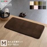 ラグ カーペット 洗える玄関マット 45×90cm 【ヴィタム-Witam-】