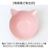 猫用フードボウル 通販 ペット用食器台 陶器製ボウル 斜め高さ調整 食べやすい猫食器 おしゃれな猫型皿 木製スタンド セラミックボウル キャットフード入れ エサ皿水入れ かわいいペット用品 首に優しい設計 傾斜付き食器台 シングルボウル 餌皿スタンドセット 陶器