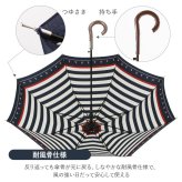 傘 レディース 耐風 通販 60cm 長傘 可愛い amusant sous la pluie 耐風傘 グラスファイバー骨 丈夫 壊れにくい 大人 かわいい おしゃれ 通勤 通学 シンプル Z骨 耐風骨 カジュアル 雨傘