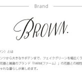 Brown. ブラウン キセログラフィカ ポット
