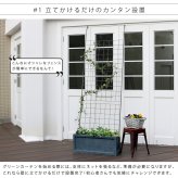 アイアンフェンス アイアン製グリーン グラフ 2枚組 フェンス アイアン グリーン ゴーヤ 薔薇 バラ 朝顔 庭 ベランダ ガーデニング 枠 柵 仕切り 目隠し 境目 アンティーク トレリス 園芸 ラティス 屋外 ガーデンフェンス 目隠しフェンス 庭用品 新生活