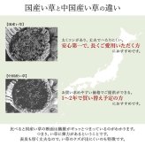 夏ラグ 夏用カーペット ラグ 国産 純国産 日本製 い草 モダン 抗菌防臭 自然素材 不織布 約140×200cm