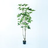 観葉植物 造花 ツピタンサス BROWN 全高約210cm 大型 3本立ち フェイクグリーン 高級 本物そっくり リアル おしゃれ インテリア 人工観葉植物 アーティフィシャルグリーン オフィス 店舗 ホテル 開店祝い 室内 リビング 玄関 風水 ツピダンサス