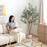 【高さ200cm】光触媒人工観葉植物 パキラ 曲がり 幅55cm×奥行50cm×高さ200cm オフィス 天然木 組立品 お部屋に気軽に飾れて空間を美しく彩るフェイクグリーン 本物の植物のようなリアルな質感とインテリアに馴染む風合いが魅力です