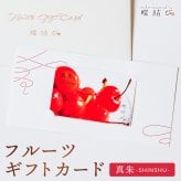 【蝶結び】-真朱(SHINSHU)- フルーツギフトカード 旬のフルーツ詰め合わせ カタログギフト 選べるギフト 贈答 贈り物 出産祝い 結婚祝い 内祝い 御祝い お祝い お礼 引き出物 熨斗対応 