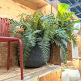 観葉植物 造花 ジャイアントソードファーン 枝垂れ BROWN 全高約70cm フェイクグリーン 高級 本物そっくり リアル おしゃれ 卓上 インテリア 人工観葉植物 アーティフィシャルグリーン シダ オフィス 店舗 開店祝い 室内 リビング 玄関 風水 ボストンファーン