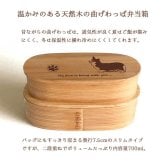 Fave コーギー スリム入子型 曲げわっぱ 弁当箱  天然木 二段 わっぱ 木製 スリム オリジナル ウェルシュコーギー カーディガン 犬 ペット 動物 アニマル ホワイトデー