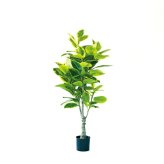 観葉植物 造花 フィカス アルテシマ BROWN 全高約175cm 大型 斑入り フェイクグリーン 高級 本物そっくり リアル おしゃれ インテリア 人工観葉植物 アーティフィシャルグリーン オフィス 店舗 ホテル 開店祝い 室内 リビング 玄関 風水 ゴムの木 アルテシーマ