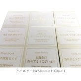 エムナー デッドシー ミネラルソルト クリスタルお配りギフト100g ギフト 入浴剤 まとめ買い 女性 男性 子供 おしゃれ かわいい 可愛い 睡眠 リラックス 人気 退職 誕生日 業務用 ばらまき 景品 引っ越し 挨拶 バスソルト 個包装 アロマ ラベンダー ローズ 香り バスグッズ プレゼント ギフト プチギフト ノベルティ アメニティ