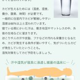 ２枚セット 除湿 除湿シート 汗対策 湿気湿気取り 130×180 ダブル 西川 ドライウェル 抗菌防臭 高吸湿 モイスファイン 防カビ マット パッド マットレス 布団下 グレー 抗菌加工 除湿マット 新生活