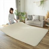 ラグ カーペット クッションマット マット 170×170cm ピタリ プラス すべり止め 下敷き 滑り止め 手洗い 防音マット 防音 防ダニ加工 ホット 対応 床暖房対応 ウレタン入り下敷き 保温性 下 絨毯下 便利 無地 ホワイト オールシーズン