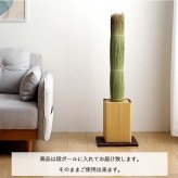 国産 日本製 い草 インテリア オブジェ 消臭 空気清浄 ナチュラル 植物 置物 95×10cm