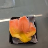 季節の上生菓子 おまかせ12個入り