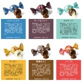 CACAOCAT カカオキャット アドベントカレンダー NR-04223 お菓子 チョコレート北海道/ボンボンショコラ/クリスマス カウントダウン 日めくり カレンダー/ギフト プレゼント/人気/スイーツ/猫 デザイン/おいしい/DADACA/