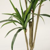 観葉植物 造花 ユッカ BROWN 全高約160cm 大型 フェイクグリーン 本物そっくり おしゃれ インテリア 人工観葉植物 アーティフィシャルグリーン オフィス 店舗 ホテル 開店祝い 室内 青年の木 エレファンティペス フェイク