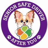 カーサイン 高齢者マーク SENIOR SAFE DRIVER パピチワ マグネット 強力 直径13cm 肉球 日本製 車 ステッカー