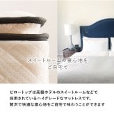 ベッド 寝具 ポケットコイルマットレス フレーム・マットレスセット すのこ ハイグレード ベット セット マットレス 本体 通気性 簡単 組み立て 組立 収納 ホワイト グレイ テレワーク リモートワーク ステイホーム 在宅