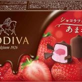 敬老の日 お中元 残暑見舞い アイス ギフト対応 ゴディバ アイス 全8個セット90ml×6個＋10ml×5粒×2個