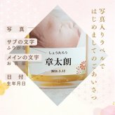 al209 写真名入れ 金箔入り梅酒 角瓶 リキュール 500ml (出産内祝 内祝 お祝い 記念日 プレゼント)送料無料
