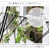 アイアンフェンス アイアン製グリーン アーガイル フェンス アイアン グリーンフェンス ゴーヤ 薔薇 バラ 朝顔 庭 ベランダ ガーデニング 枠 柵 仕切り 目隠し 境目 アンティーク トレリス 園芸 ラティス 屋外 ガーデンフェンス 目隠しフェンス 新生活