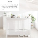 キッチンカウンター ゴミ箱収納 間仕切り レンジラック Salus ごみ箱上 ラック レンジ台 レンジボード 大型レンジ対応 家電収納 ハイテーブル 収納 ごみ箱収納ラック キッチンテーブル カウンターテーブル 新生活