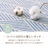 座布団 インド綿 馬蹄クッション テラ クラック アルト 43×41cm 綿100% バテイクッション シートクッション 座布団 ウレタン ふっくら ナチュラルな雰囲気で使いやすい おしゃれな馬蹄クッション 座ぶとん ざぶとん フロアクッション 寝具