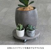 ガーデン エクステリア セメント製キャスター付きプランターキャリー36cm TR360 直径36 スタンド フラワースタンド ベース キャスター 台車 鉢置き 花台 プランター おしゃれ インテリア 室内 ベランダ 新生活