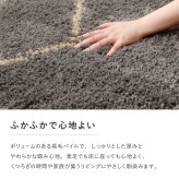 ラグ カーペット ウィルトン エジプト製 ホット 対応 床暖房対応 長方形 ペルシャ調 花柄モチーフ パイル リビング ダイニング 玄関マット キッチンマット マット 絨毯 上品 高級感 オールシーズン おしゃれ かわいい 北欧 約200×250cm