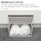 SOLOW ソロウ 出し入れがスムーズな屋外ストッカー 120L[屋外 収納ボックス 屋外ストッカー 物置 大型 収納庫 ベランダ ゴミ箱 ゴミストッカー 日本製 ゴミ収集庫 宅配ボックス 薄型 スリム コンパクト 分別 ごみ箱]