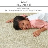 デスクカーペット カーペット 日本製 抗菌 消臭 清潔 防炎 抗アレル物質 ダニ対策 シャギー 無地 約1.2畳 約120×150cm 抗菌消臭で清潔 無地デスクカーペット 抗菌防臭 ポリエステル 学習机用カーペット 学習デスク用マット 子供部屋マット