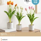 【高さ40cm】光触媒人工観葉植物 チューリップ 幅18cm×奥行18cm×高さ40cm お部屋に気軽に飾れて空間を美しく彩るフェイクグリーン 本物の生花のようなリアルな質感とインテリアに馴染む風合いが魅力です ホワイト ピンク オレンジ