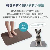 バスマット ±0 激落ちくん 1秒吸水 吸水 速乾 洗える 洗濯機OK 薄型3mm 軽量 さらさら お風呂マット 足ふきマット 珪藻土じゃない 乾きやすい 清潔 滑りにくい おしゃれ 北欧 シンプル 一人暮らし 新生活 脱衣所 洗面所 Mサイズ 45×60cm ギフト プラスマイナスゼロ