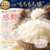 新米 令和8年産 ミルキークイーン 5kg×1袋 米 徳島県産 お米 5キロ みるきー ミルク 5キロ 白米5キロ 精米5k 精米5キロ おいしいお米 美味しい米 産地直送 お米5ｋｇ 白米 お米5きろ おこめ5ｋ 白米5キロ 精米 国産 こめ コメ ギフト おいしい 冷めてもおいしい【送料無料(一部地域除く)】
